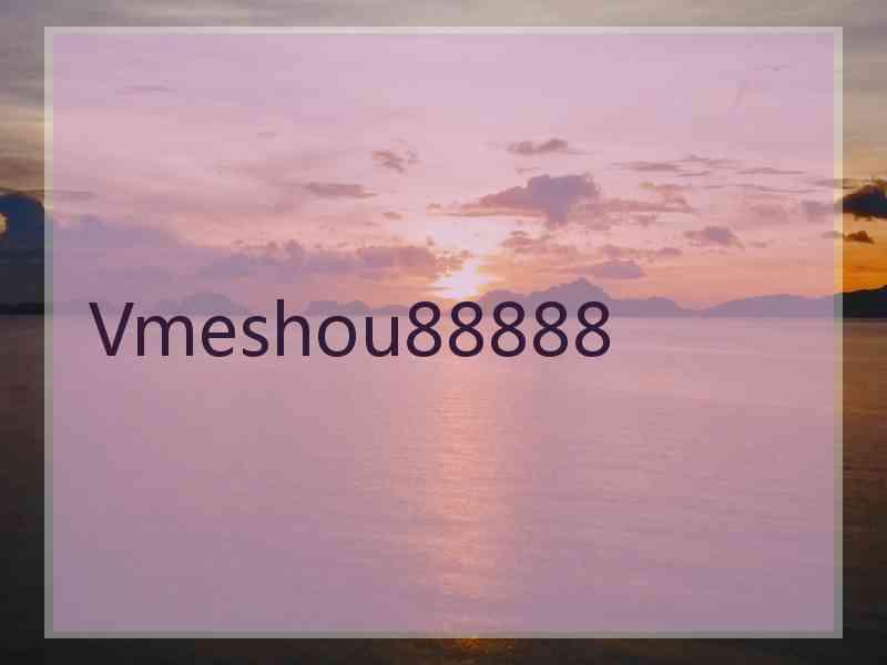 Vmeshou88888