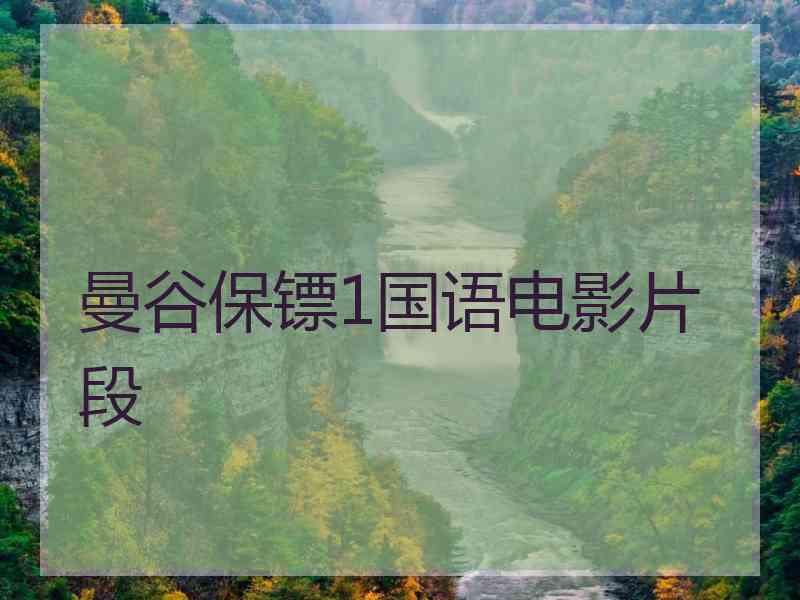 曼谷保镖1国语电影片段