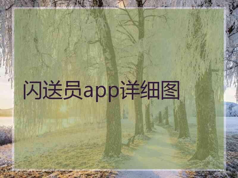 闪送员app详细图