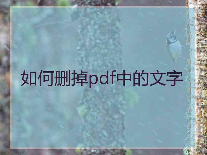 如何删掉pdf中的文字