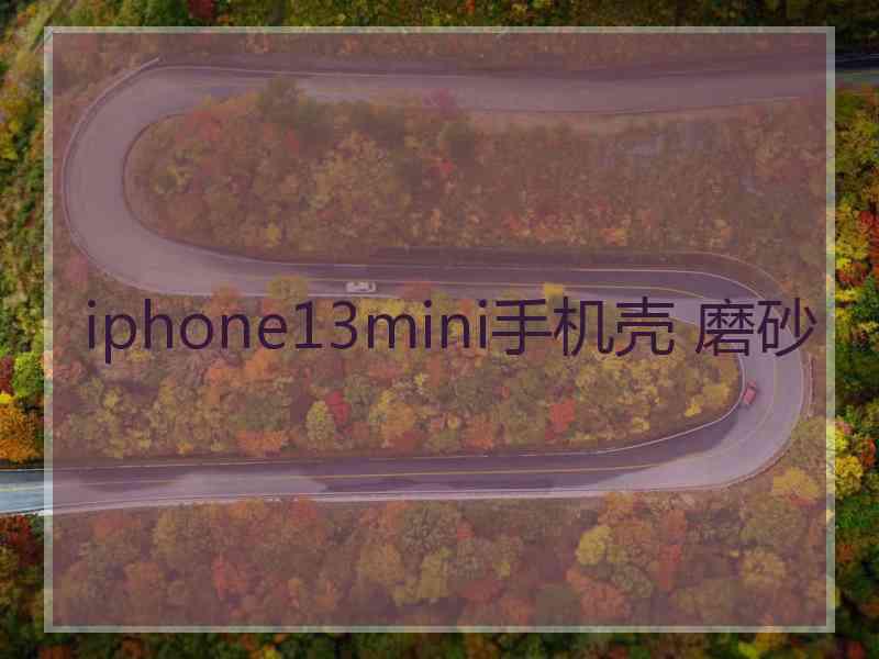 iphone13mini手机壳 磨砂