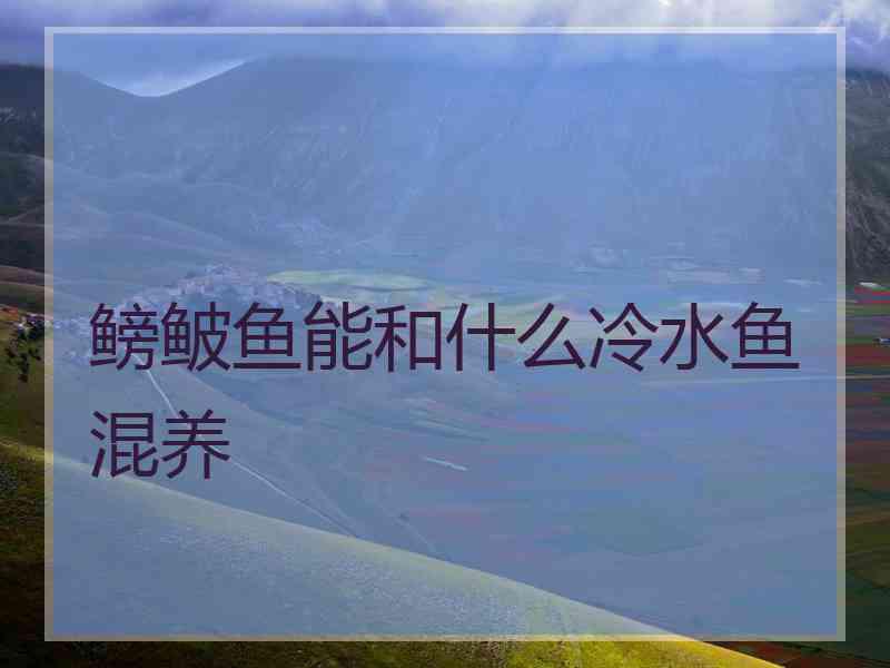 鳑鲏鱼能和什么冷水鱼混养