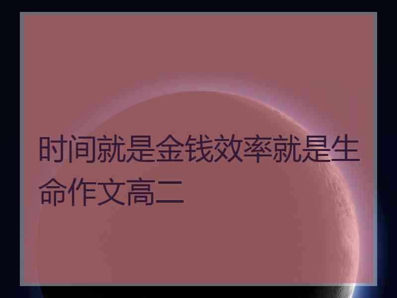 时间就是金钱效率就是生命作文高二