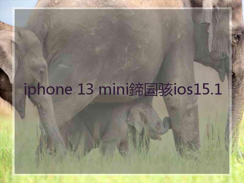 iphone 13 mini鍗囩骇ios15.1