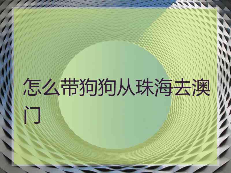 怎么带狗狗从珠海去澳门