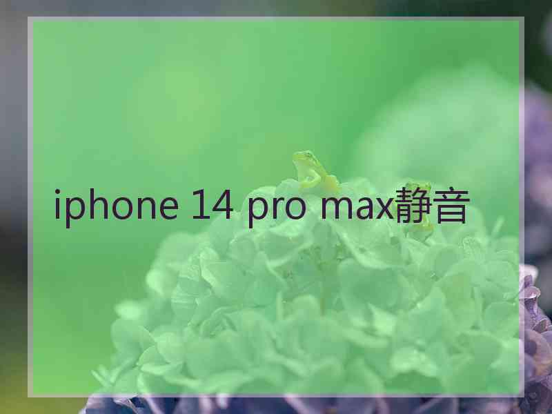 iphone 14 pro max静音