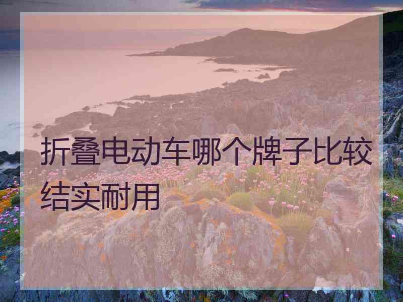 折叠电动车哪个牌子比较结实耐用