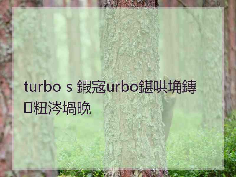 turbo s 鍜宼urbo鍖哄埆鏄粈涔堝晩