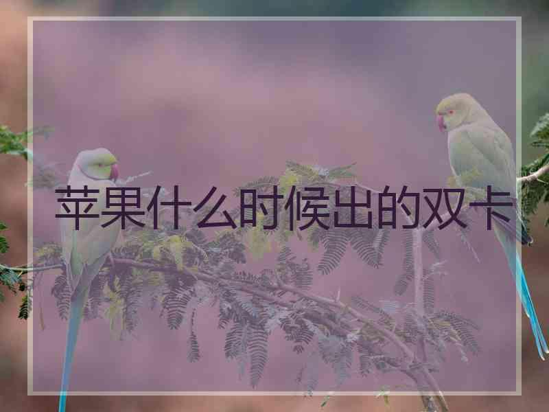 苹果什么时候出的双卡