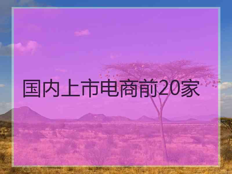 国内上市电商前20家