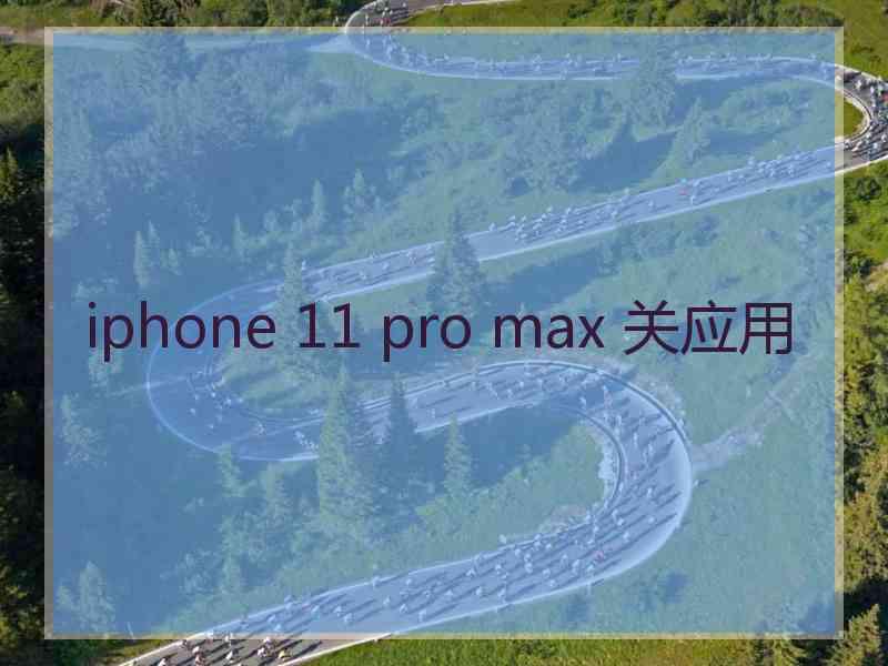 iphone 11 pro max 关应用