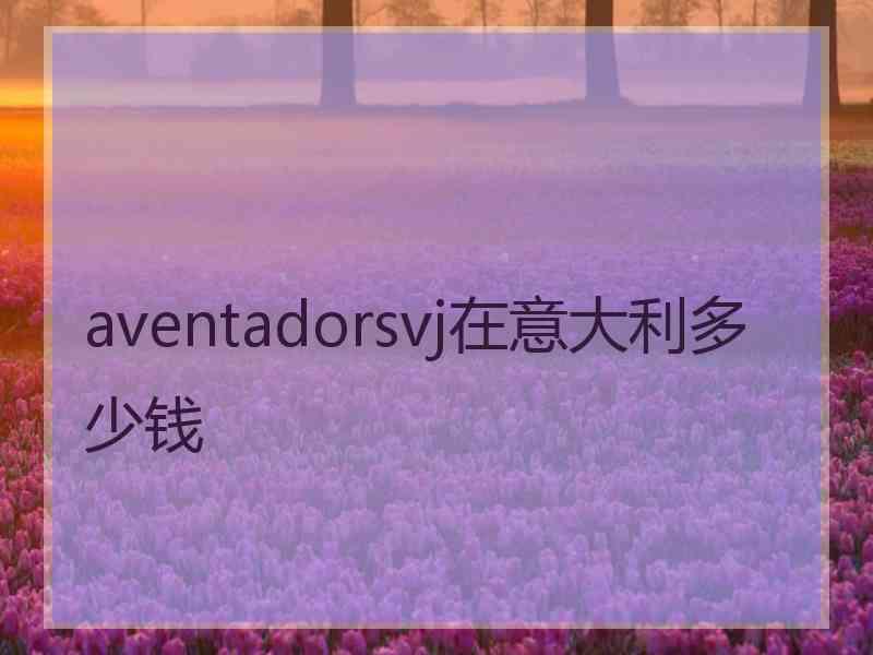 aventadorsvj在意大利多少钱