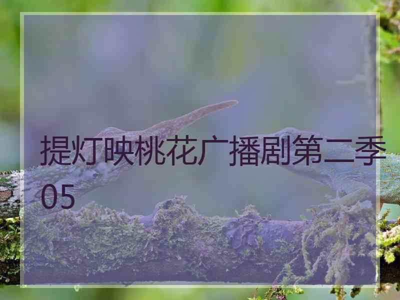 提灯映桃花广播剧第二季05