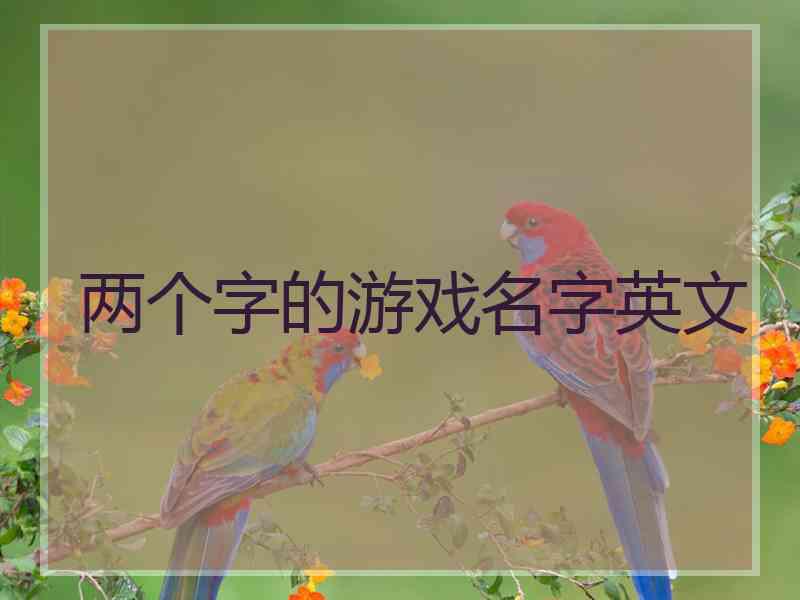 两个字的游戏名字英文