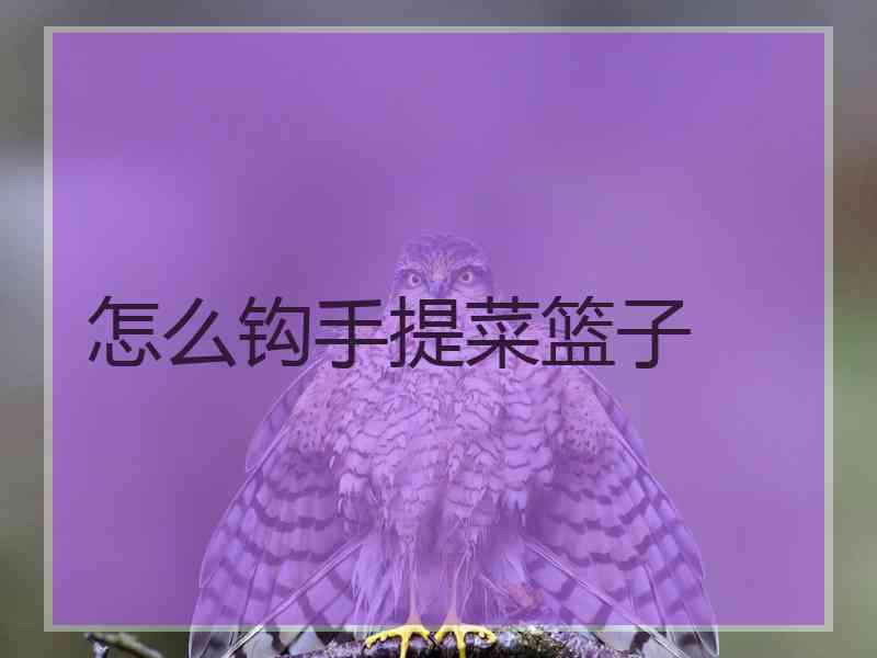 怎么钩手提菜篮子