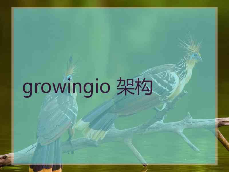 growingio 架构