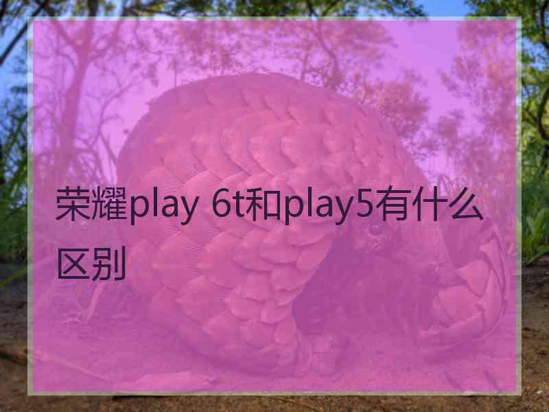 荣耀play 6t和play5有什么区别