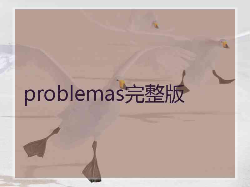 problemas完整版