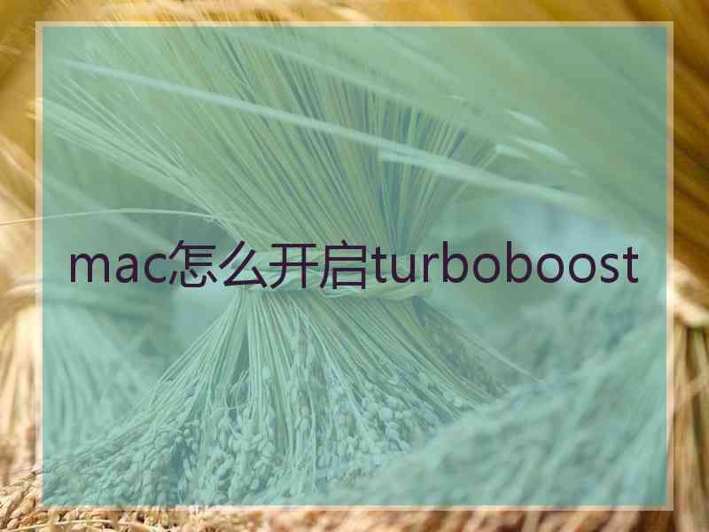 mac怎么开启turboboost