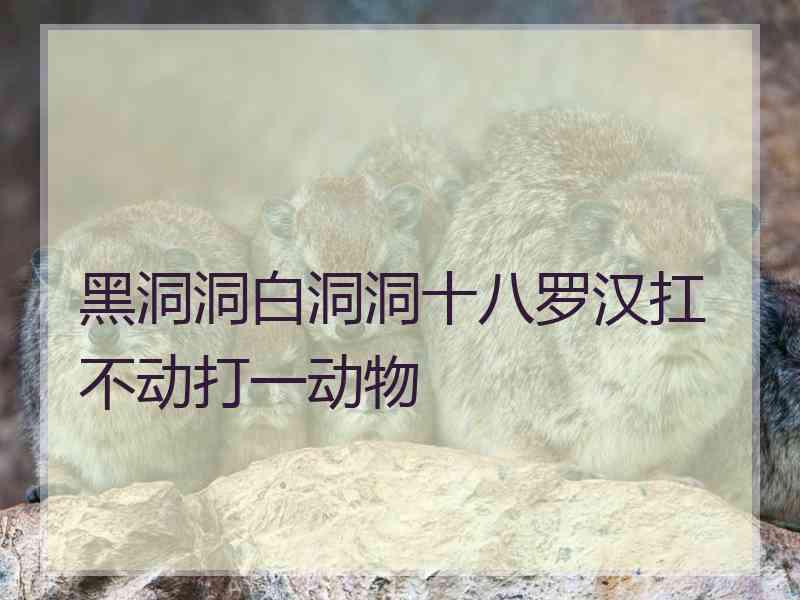 黑洞洞白洞洞十八罗汉扛不动打一动物