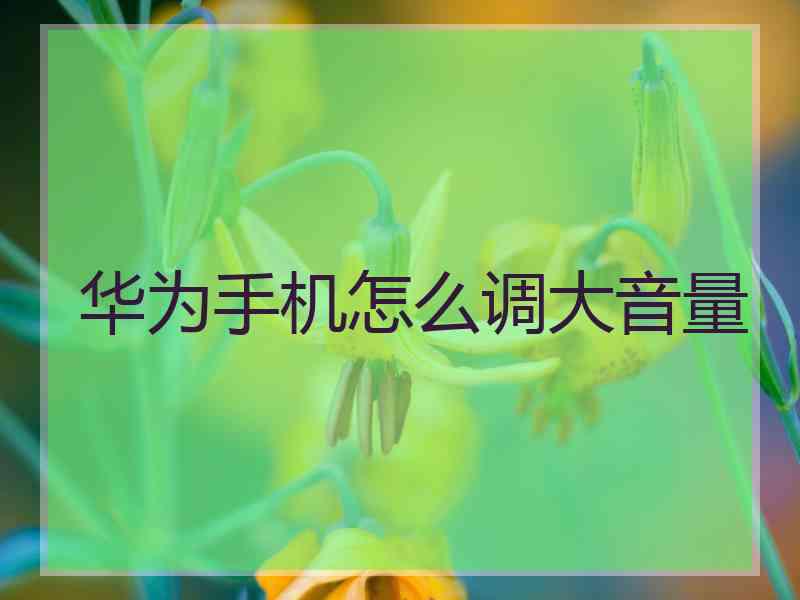 华为手机怎么调大音量