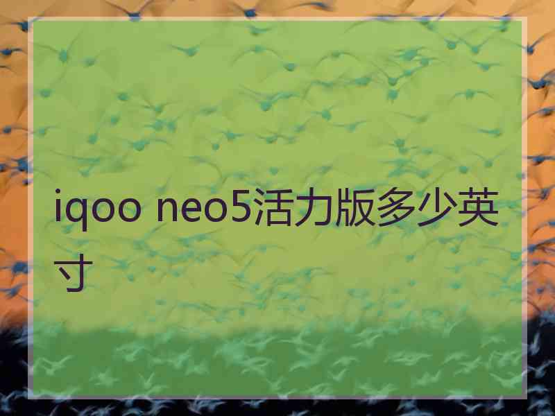 iqoo neo5活力版多少英寸