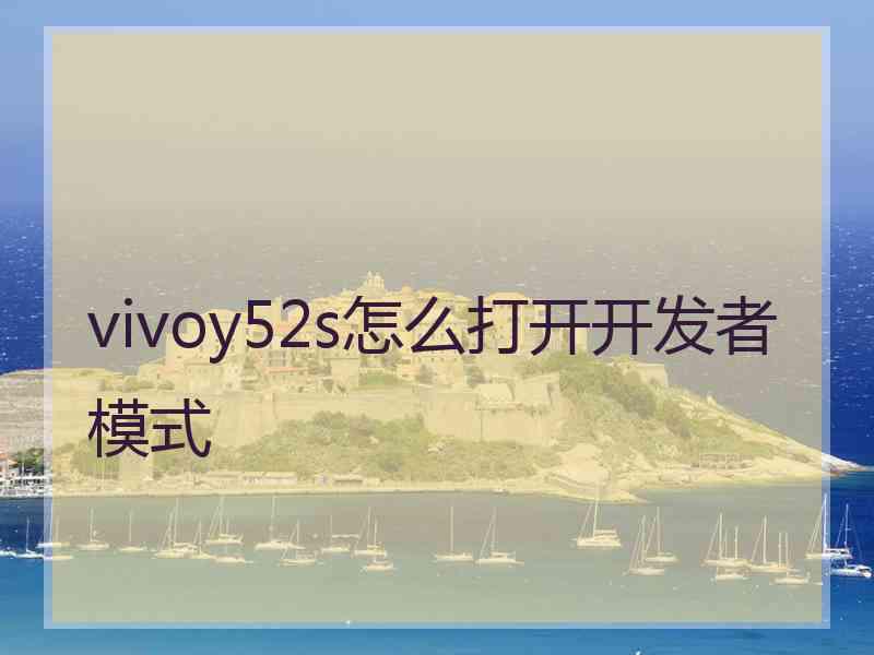 vivoy52s怎么打开开发者模式