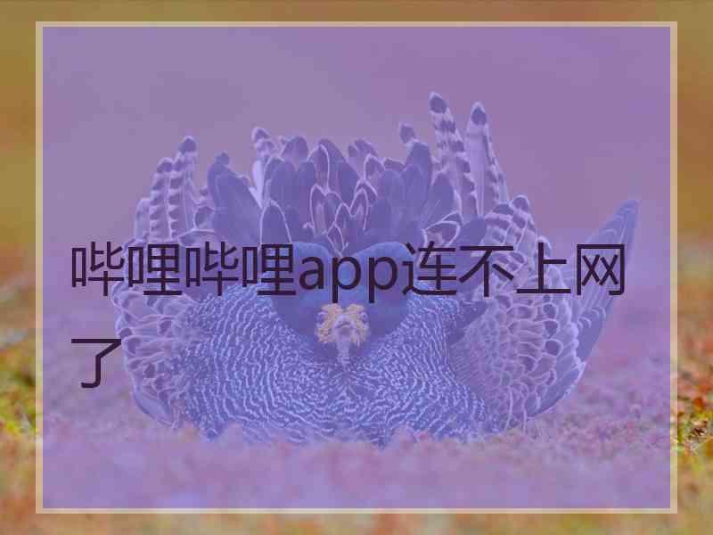 哔哩哔哩app连不上网了