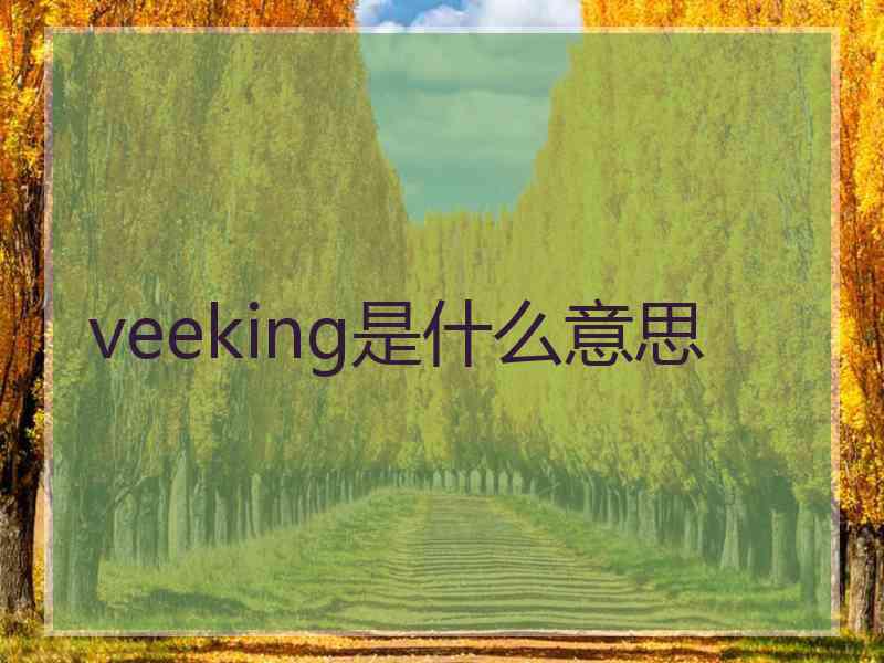 veeking是什么意思