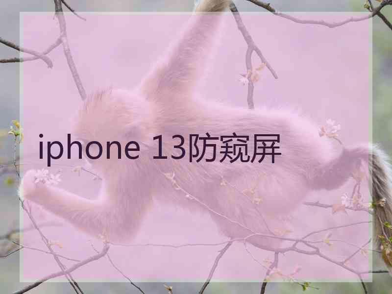 iphone 13防窥屏