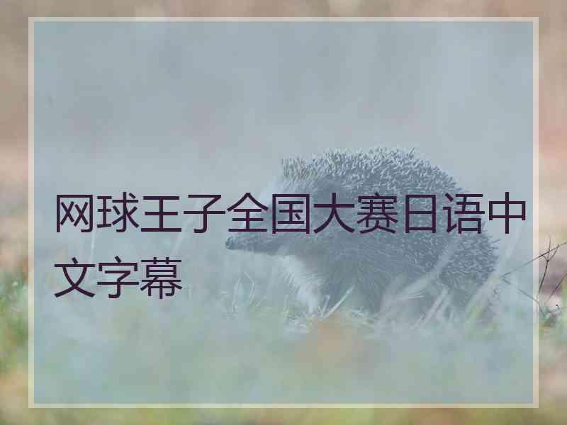 网球王子全国大赛日语中文字幕