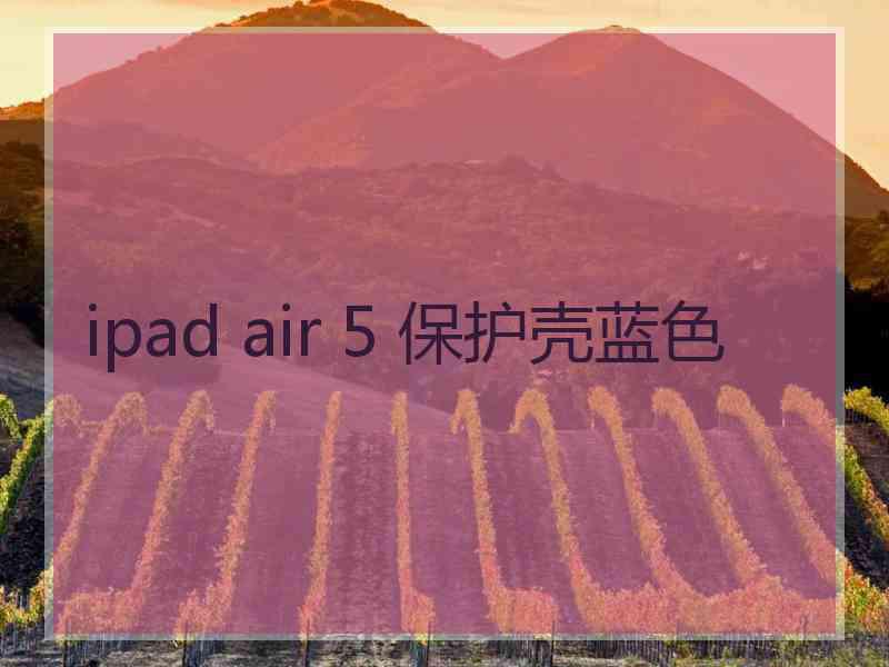 ipad air 5 保护壳蓝色