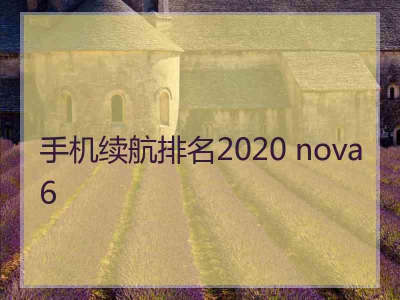 手机续航排名2020 nova6