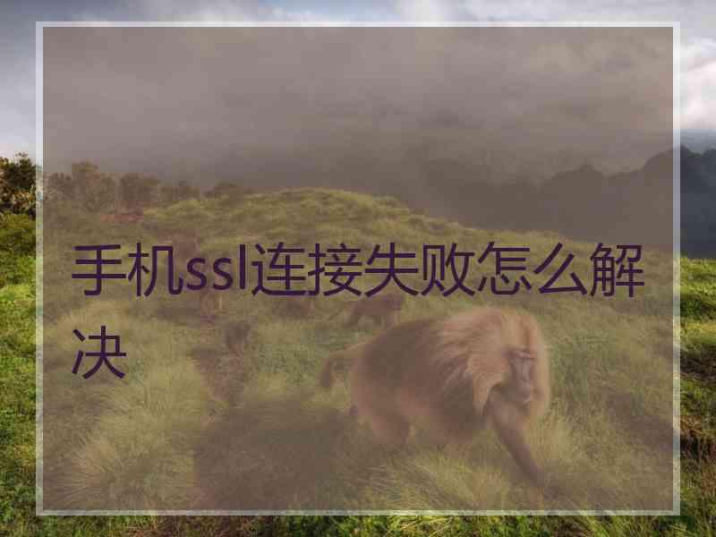 手机ssl连接失败怎么解决