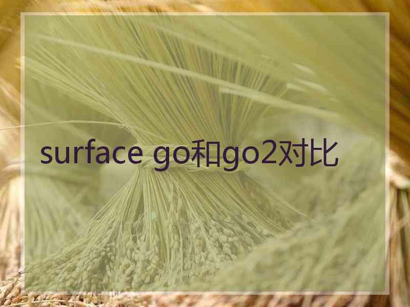 surface go和go2对比