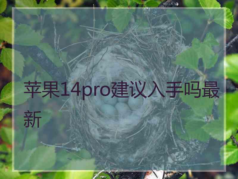 苹果14pro建议入手吗最新