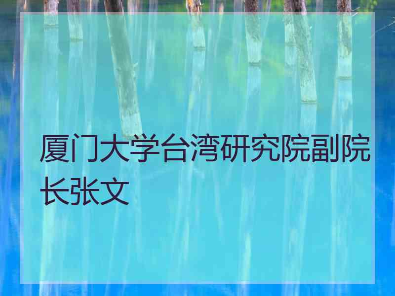 厦门大学台湾研究院副院长张文