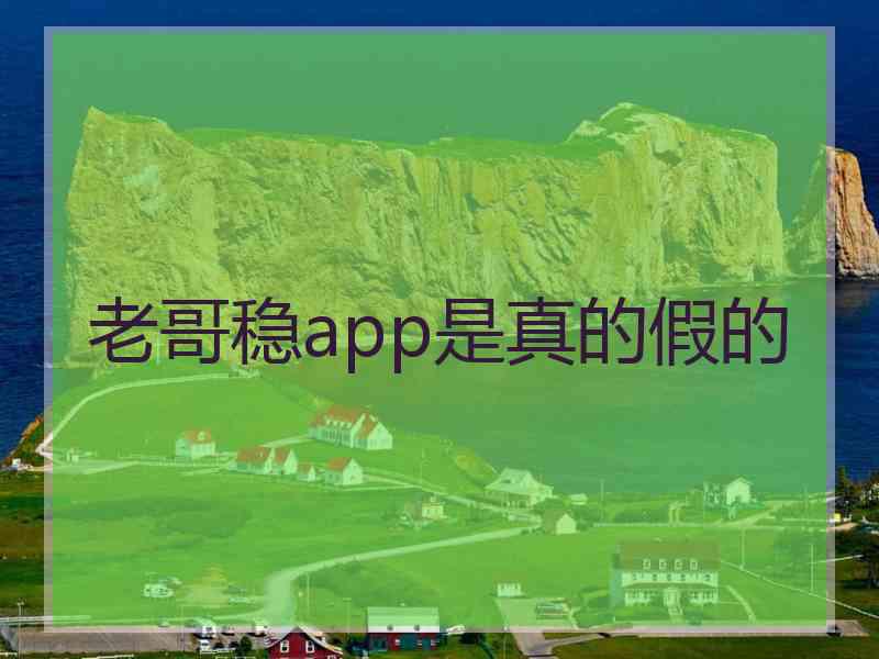 老哥稳app是真的假的