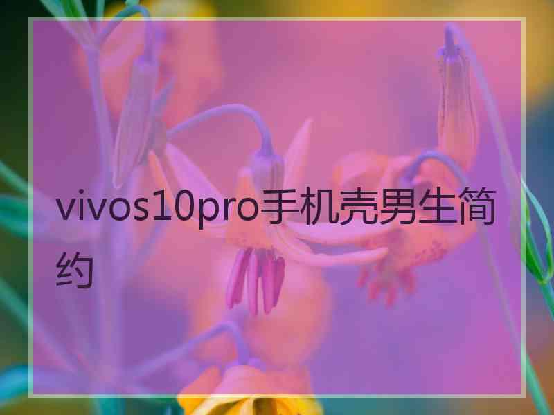 vivos10pro手机壳男生简约