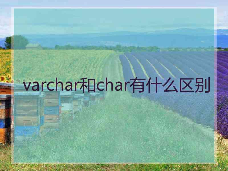 varchar和char有什么区别