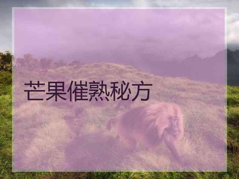 芒果催熟秘方