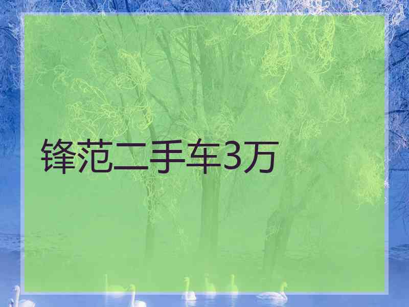 锋范二手车3万