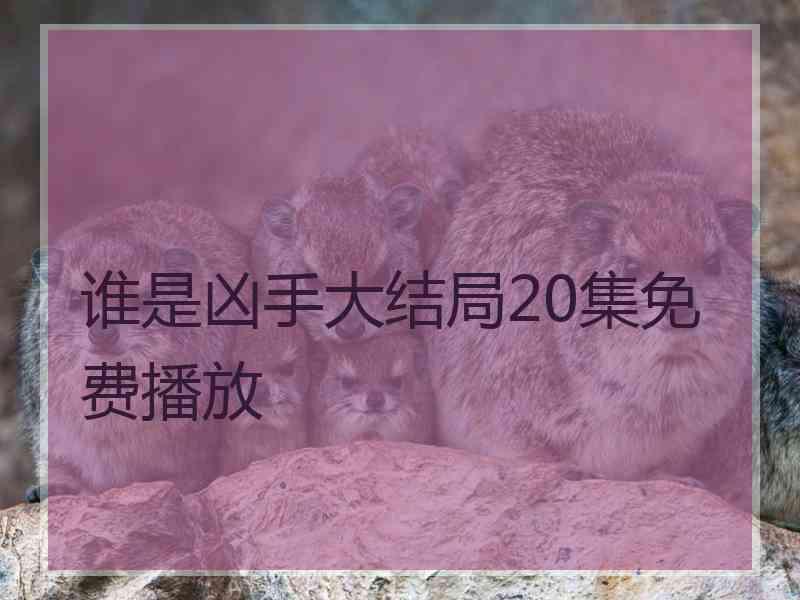 谁是凶手大结局20集免费播放