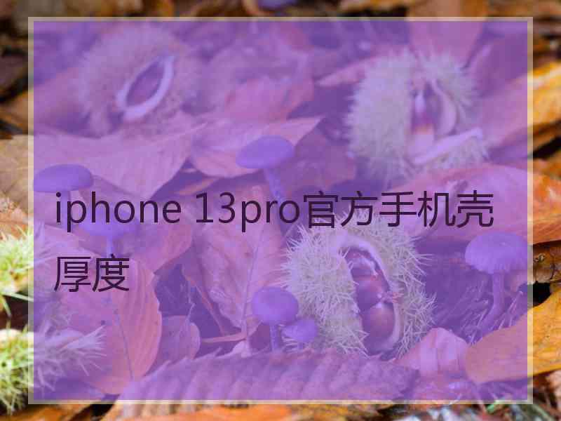 iphone 13pro官方手机壳厚度