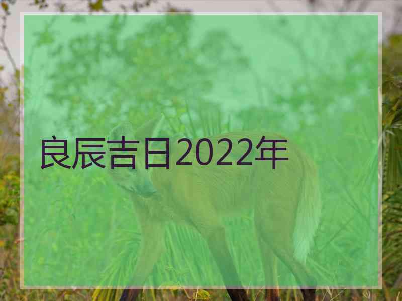 良辰吉日2022年