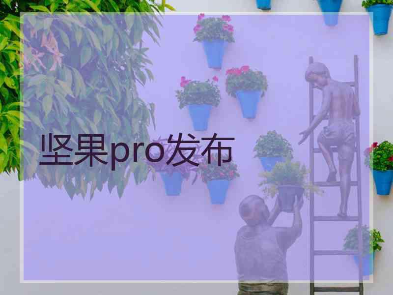 坚果pro发布