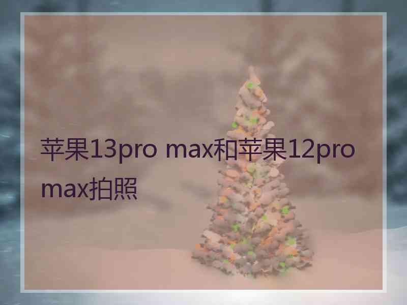 苹果13pro max和苹果12promax拍照