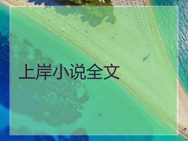 上岸小说全文