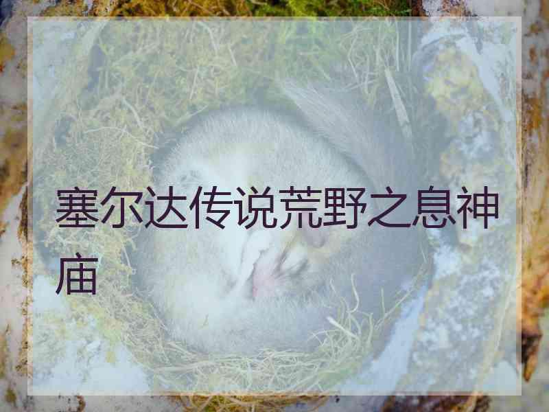 塞尔达传说荒野之息神庙