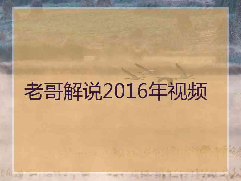 老哥解说2016年视频